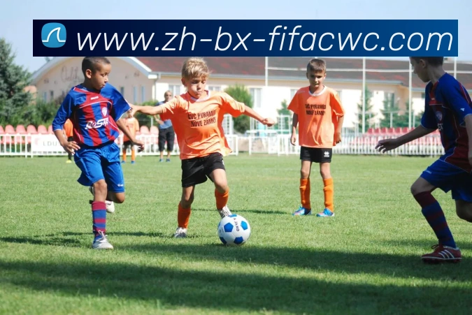 世界杯在线观看平台生态图