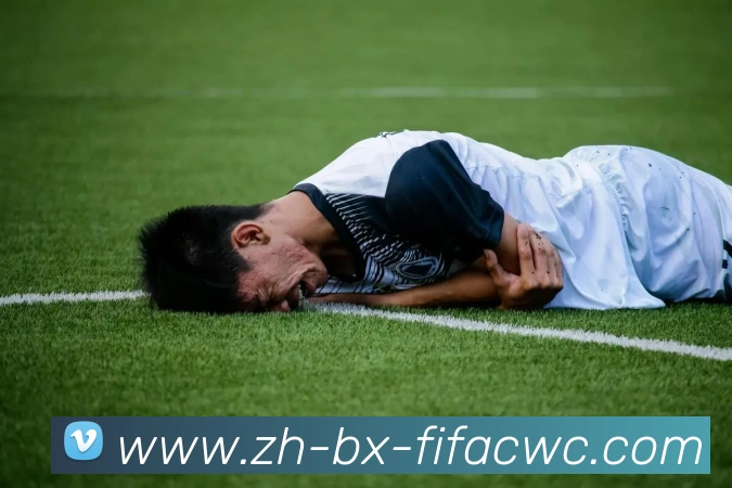 世界杯在线观看APP 封面图