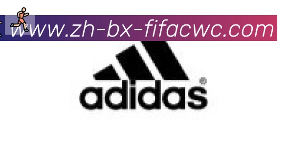 世界杯在线观看合作伙伴