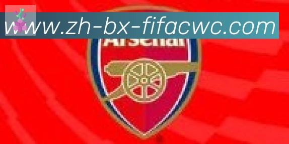 世界杯在线观看合作伙伴