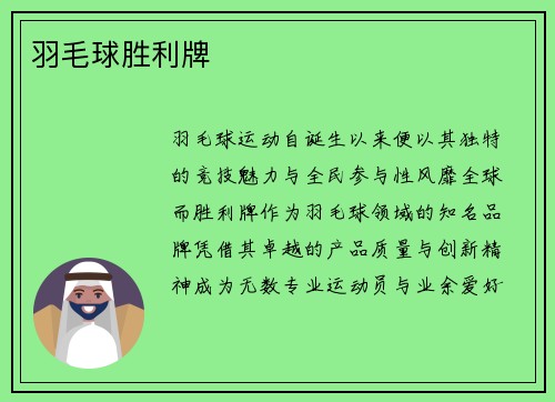 羽毛球胜利牌
